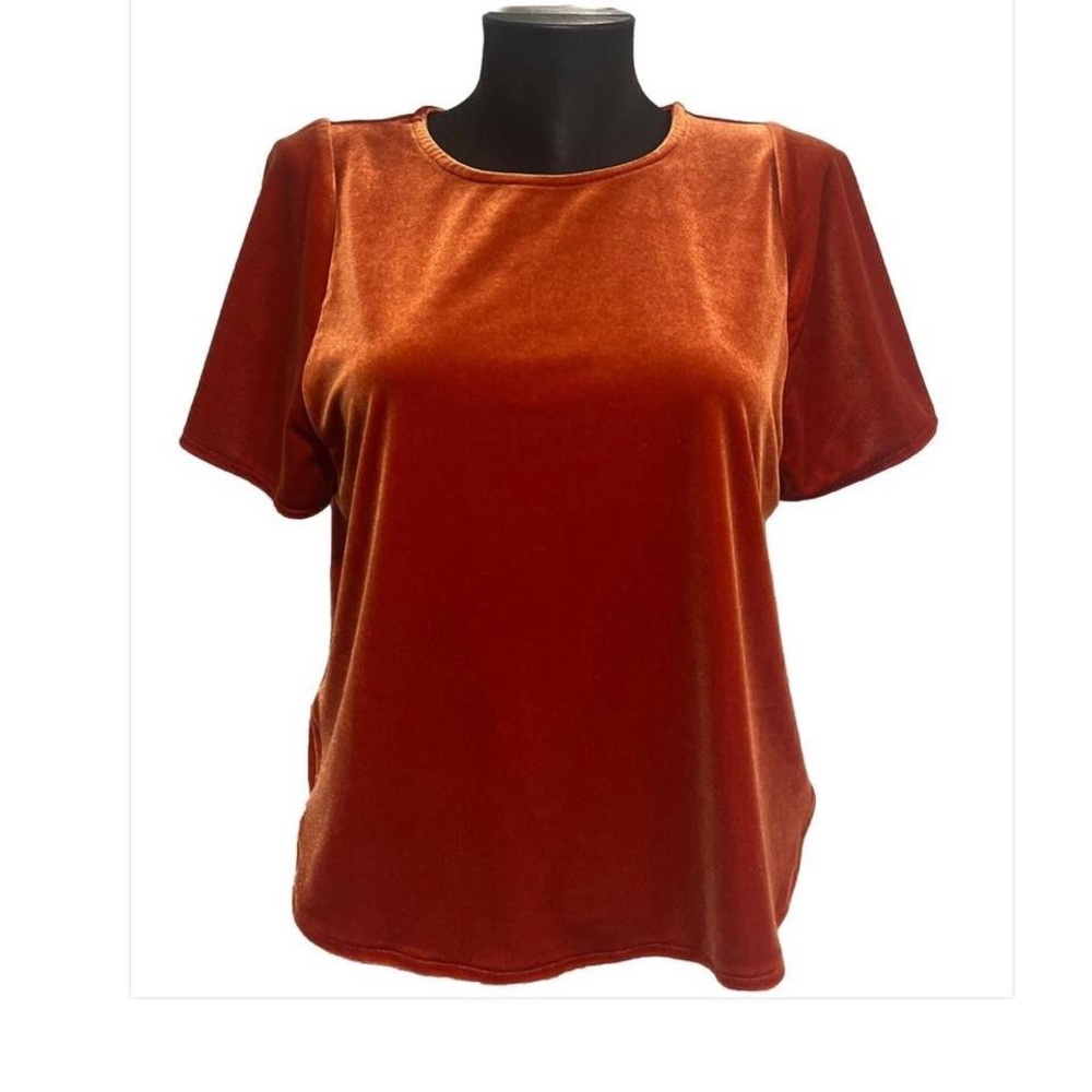 Madewell xs Rust Velvet Short-Sleeve Women's Top